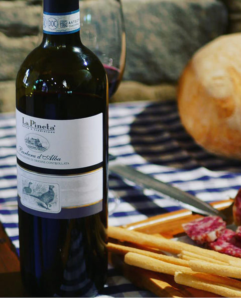 Barbera d'Alba 2022 DOC