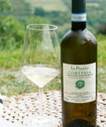Cortese dell'Alto Monferrato 2023 DOC Cortesia