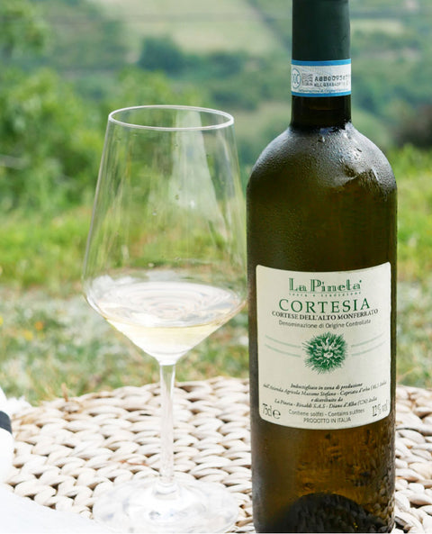 Cortese dell'Alto Monferrato 2023 DOC Cortesia