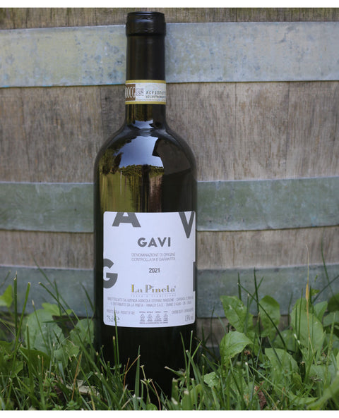 Gavi 2023 DOCG