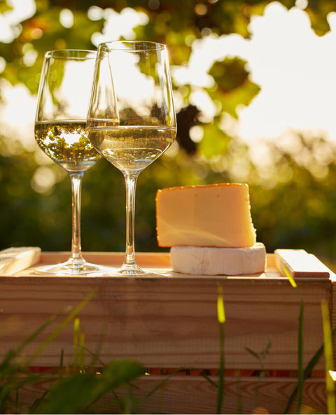 Gewürztraminer 2020 DOC